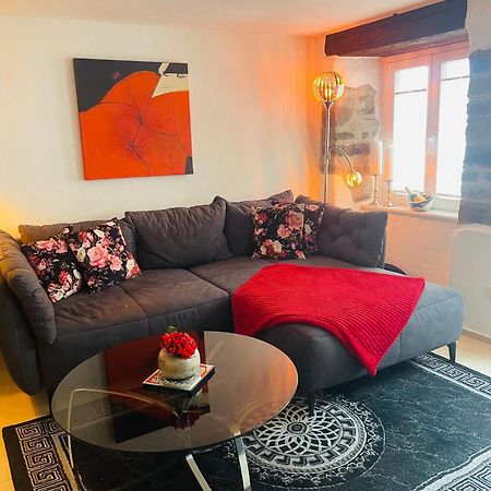 Apartament Luxus Domizil Villingen-Schwenningen Zewnętrze zdjęcie